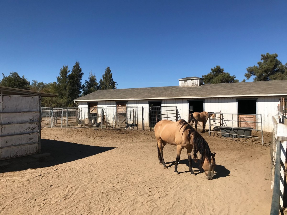 Yolo County, Northern California Ranch For Sale