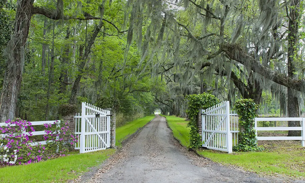 Country Living