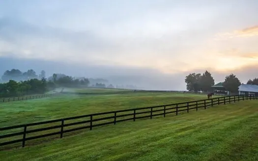 Country Home with Acreage