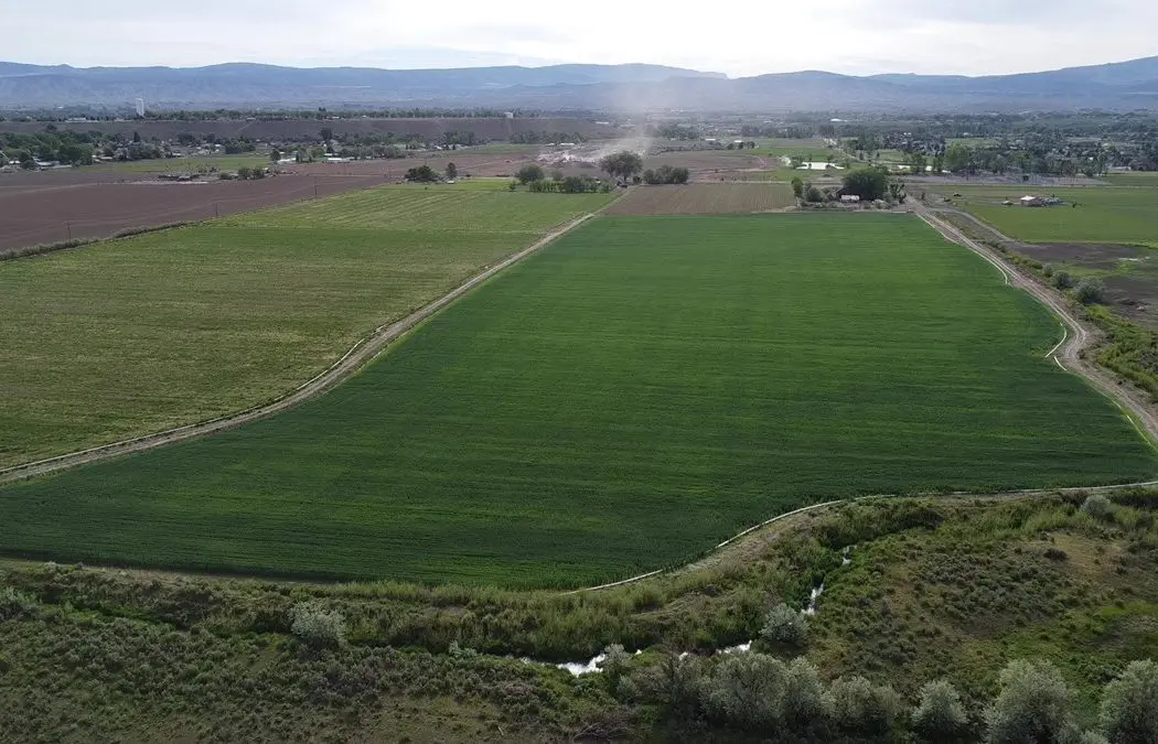 Farm Ground Land For Sale, Montrose, Colorado