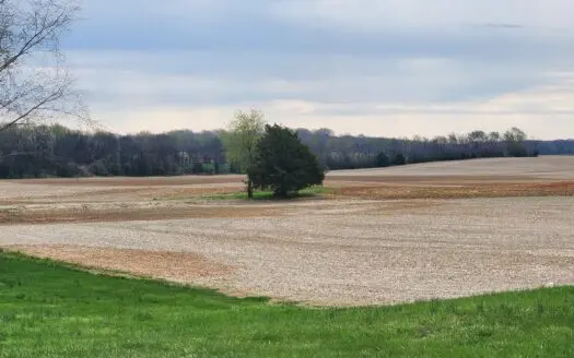 13.74 acres of row crop land for sale near Franklin Ky.