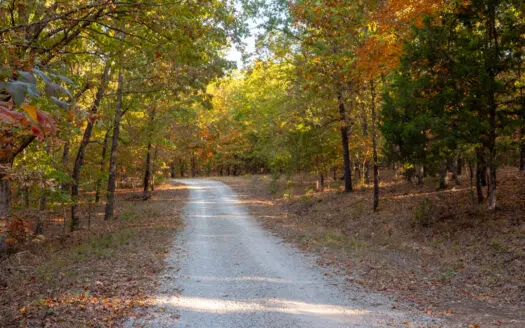 Lot 16A in Subdivision in Gated Community with Airstrip on Bull Shoals Lake Peninsula