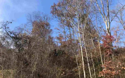 Cul-De-Sac lot for sale in Rogersville, Tennessee
