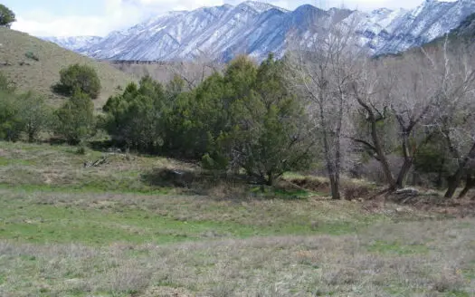 Build Your Dream Home on this Residential Vacant Lane