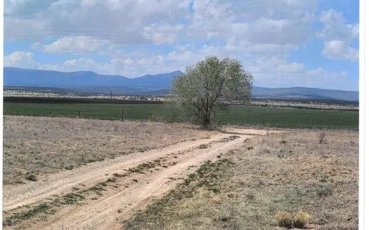 5 Acres for Sale in McIntosh, NM – Mobile Homes & Animals Allowed