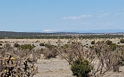 Secluded 40 Acres in Manzano Mountains | Private New Mexico Land