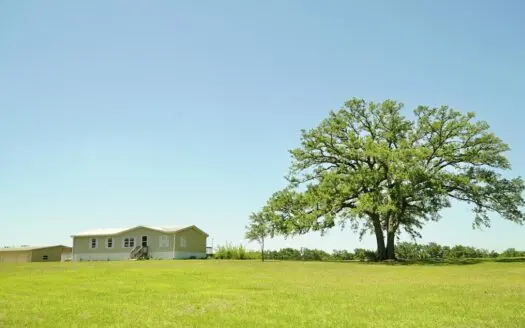 Farm For Sale In Live Oak Florida!