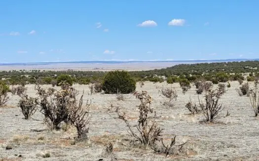 40 Acres with Mountain Views in Estancia NM – Horse Friendly