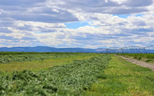 Eastern Oregon Sheley Green Acres