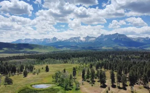 161 Acres San Juan Mountain Land for Sale in Placerville, CO