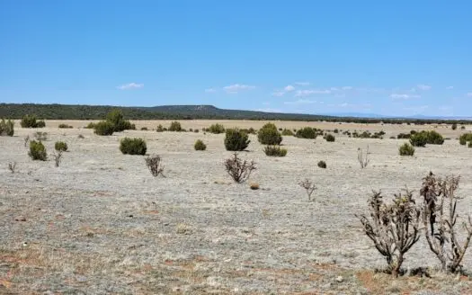 42 Acres in Estancia – No Covenants, Mountain Views