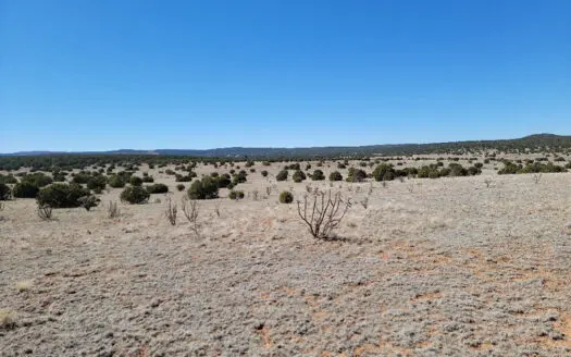 40 Acres in Estancia NM with Mountain Views & Good Soil