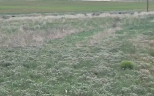 2 Acres in Stanley NM – Great Soil, No HOA, Mountain Views