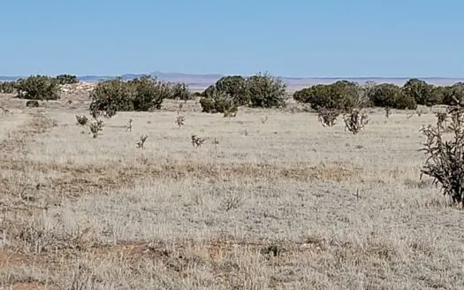 79.2 Acres with Views & Road Access – Estancia, NM Land