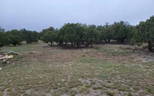 2.5-Acre Wooded Lot in Edgewood, NM – MHs Allowed