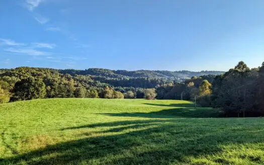 Open Land for Sale in Pilot VA