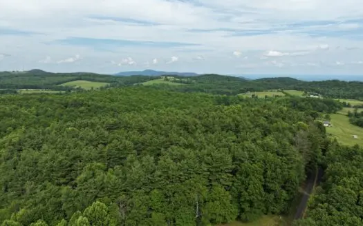 10.88 Ac± Of Land Located In Patrick County, Va