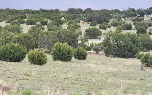 2 Acres in Edgewood – Wooded Lot, MHs Allowed