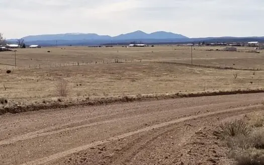 4 Acres in Moriarty – Grazing Land & Country Living