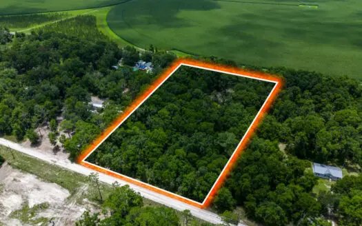 4 Acres In Suwannee Cnty Fl / Near Florida’s Famous Springs