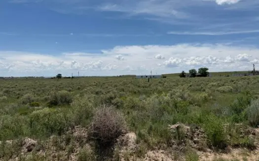 El Rancho Grande Lot for Sale in McIntosh NM