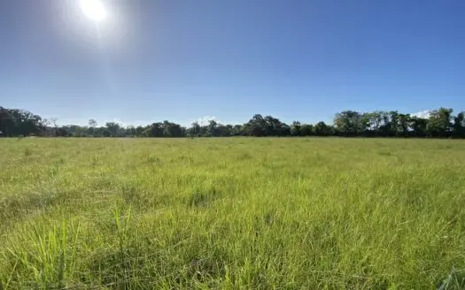 3.45± Acre Homesite in Maurice, LA