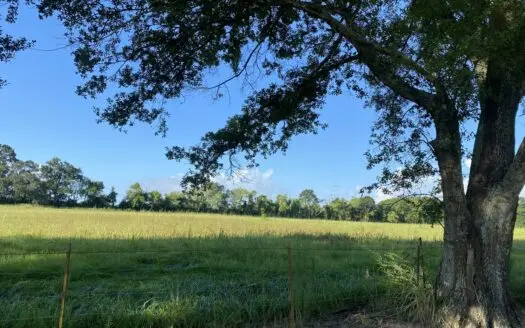 3.45 +/- Acres of Land For Sale in Maurice, Louisiana