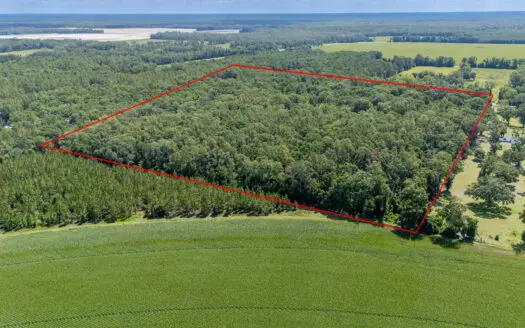 29 Acres For Sale in Old Town, FL