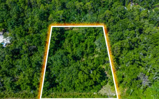 1 Acre Deeded Lot for Sale in O’Brien, Florida