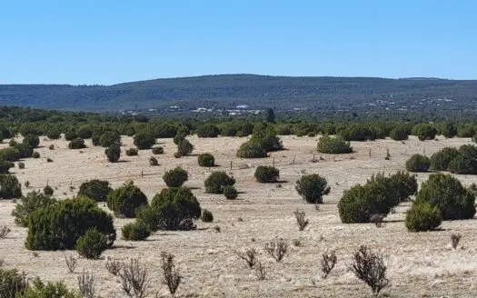 40 Secluded Acres in Estancia NM | Manzano Foothills Land