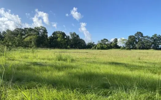 163± Acres of Land For Sale in Maurice, LA.