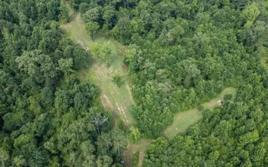 Hunting Land in Claiborne County, MS – The Reagan Tract