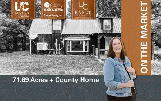 Country Home / Cabin and Acreage in Oregon County Missouri