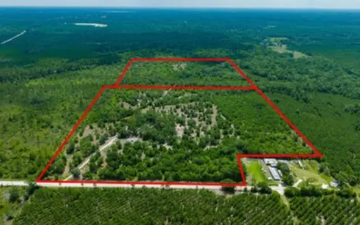 74 Acres In Lulu Florida For Sale