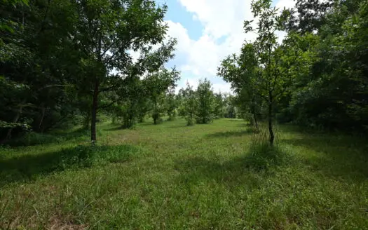 53± Wooded Acres for Sale in Decaturville, Tennessee