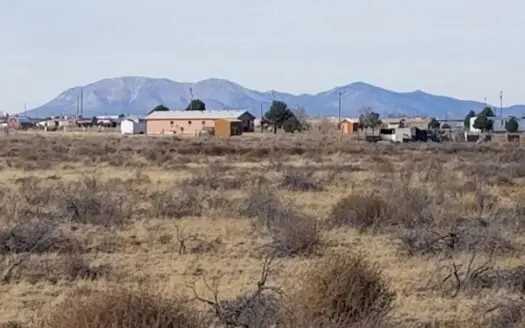 2 One-Acre Lots in McIntosh NM | Build or Homestead