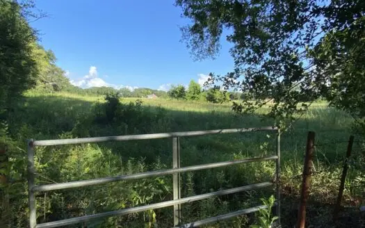 1.5± Acres in Maurice, Louisiana