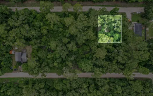 .22 Acre Lot for Sale in Crawfordville, Florida