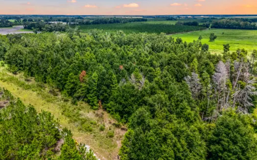 3 Acres With Partially Cleared Land for Sale in O’Brien, Florida