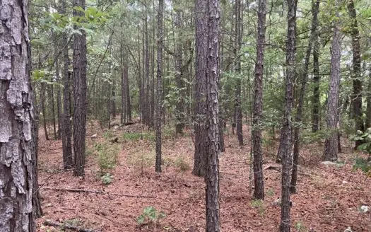 Beautiful Hilltop Setting For Your Country Home