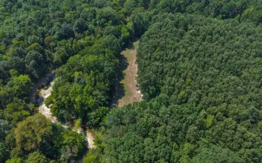 210 Acre Turn-Key Recreational Property for Sale in Dayton, AL