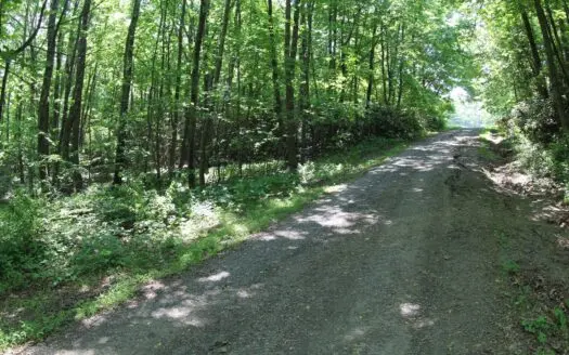 8.64 Acres For Sell In Patrick County, Va