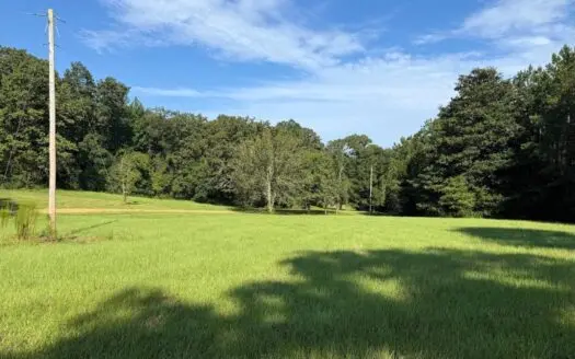 40 Acres with Country Home for Sale in Pike County MS