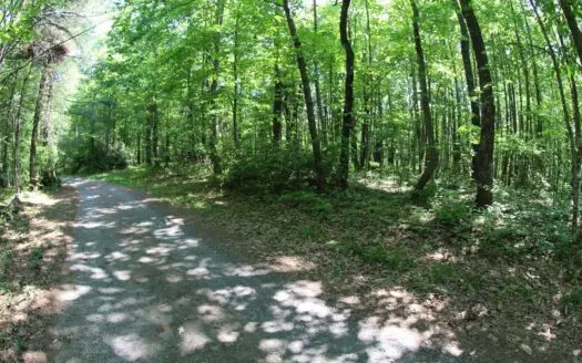 24.28 Acres Of Land For Sell In Patrick County, Va