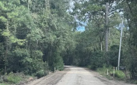 Acreage for Sale in Southeast Bulloch County