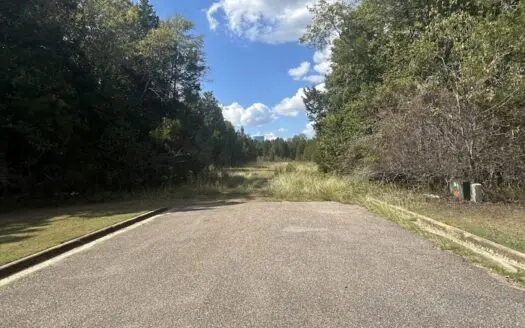 Crown Ridge Residential Development Land For Sale in Selma, AL