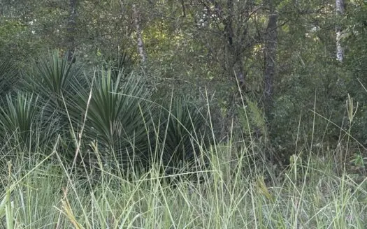 Build Your Dream on 4.54 Serene Acres in Gilchrist County