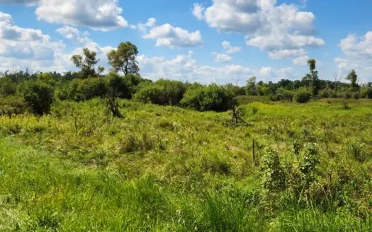 Trophy Whitetail Deer Hunting Columbia County WI