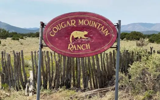42-Acre Mountain Property – Cougar Mountain, NM