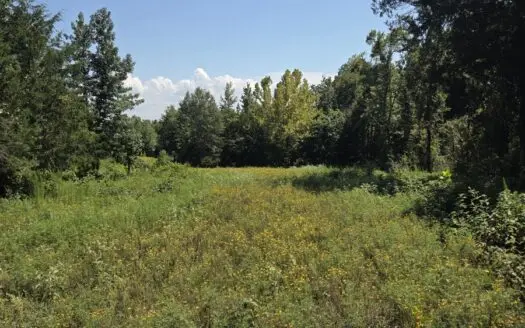 Where the River Runs Wild – 76 Acres of Pure Oklahoma Hunting